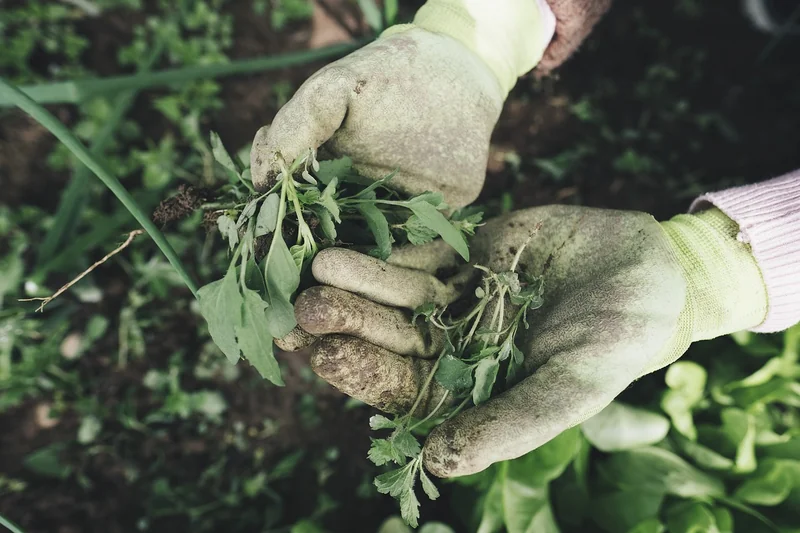2. Les gants : la peau de vos mains en première ligne